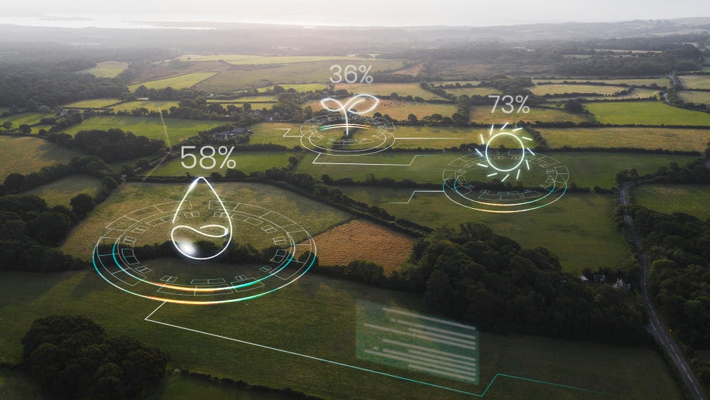 How IoT Is Transforming Environmental Risk Management Through Real-Time Monitoring
