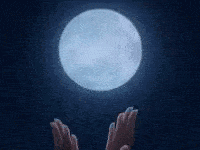 1*wnu8mQbk7VSYW160QHGJHQ.gif