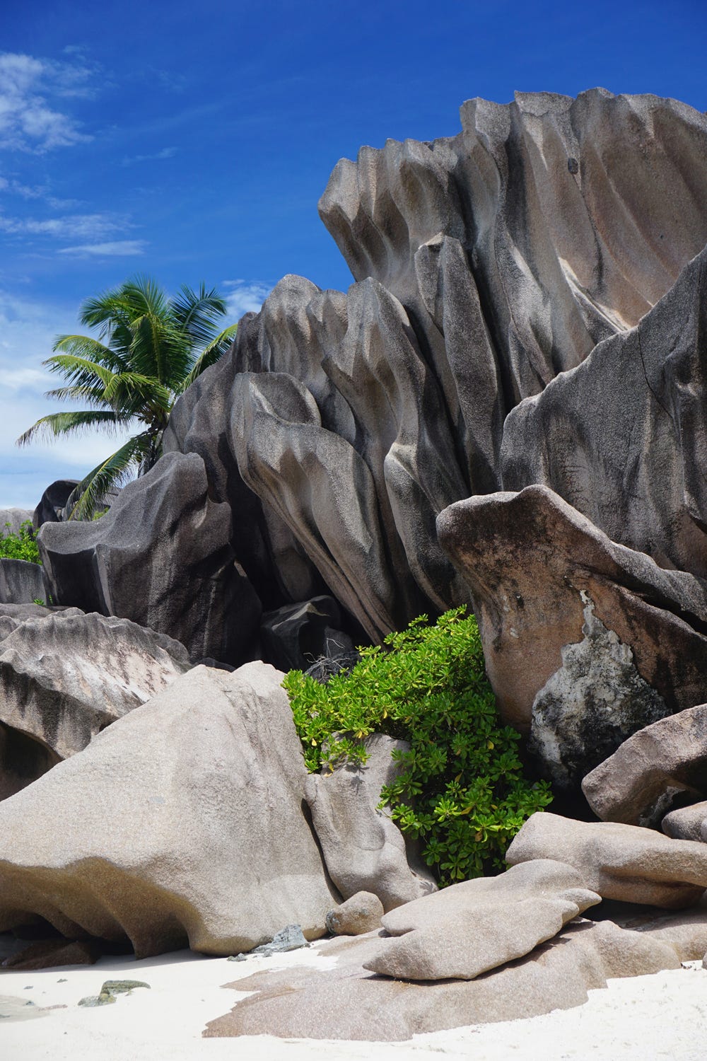 Strangely eroded granite boulders tower over Grand Anse beach on La Digue in the Seychelles. © April Orcutt