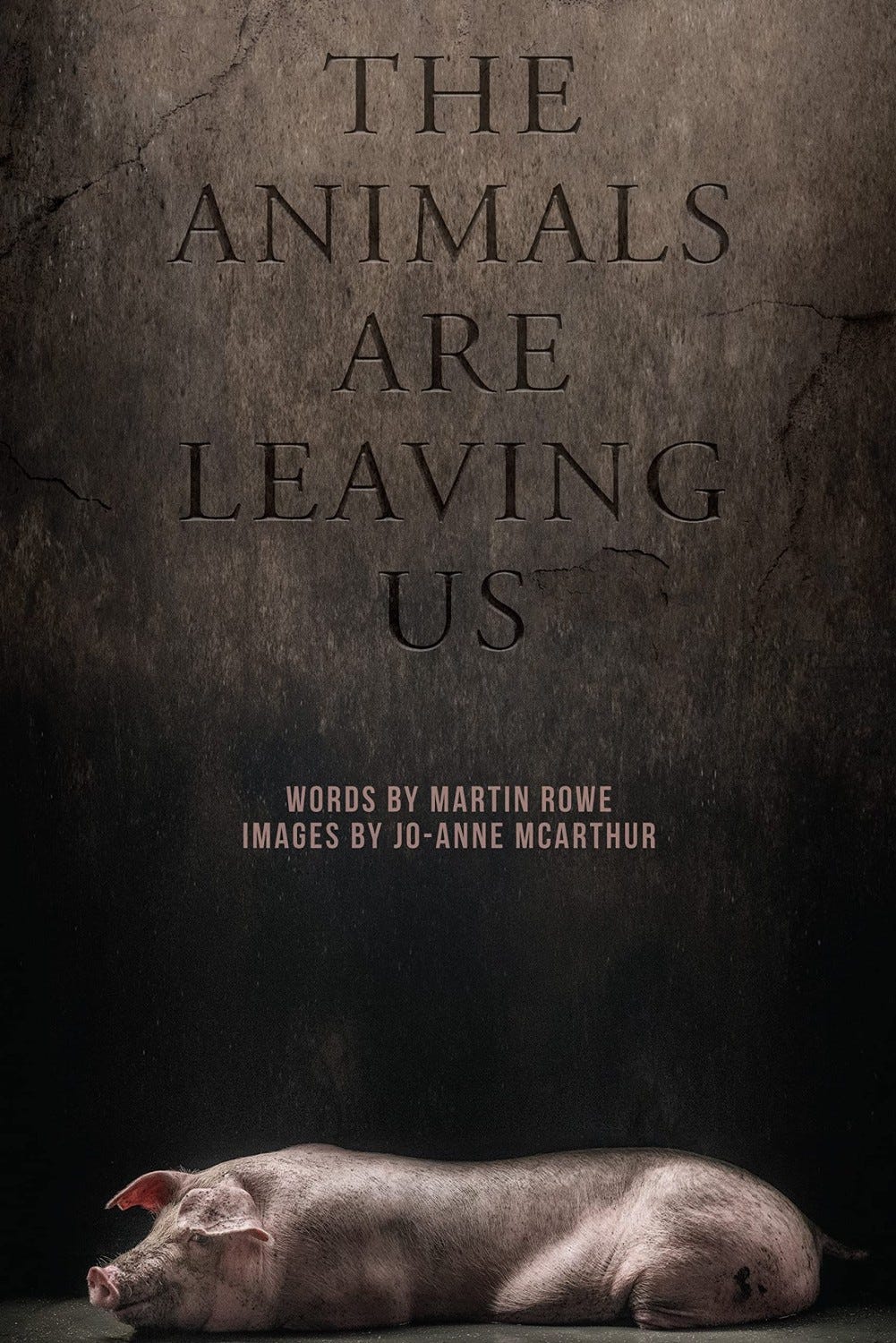 A poetic reflection and examination of the omnipresence and yet the vanishing of animals within and from an environment entirely defined by the whims and appetites of human beings.