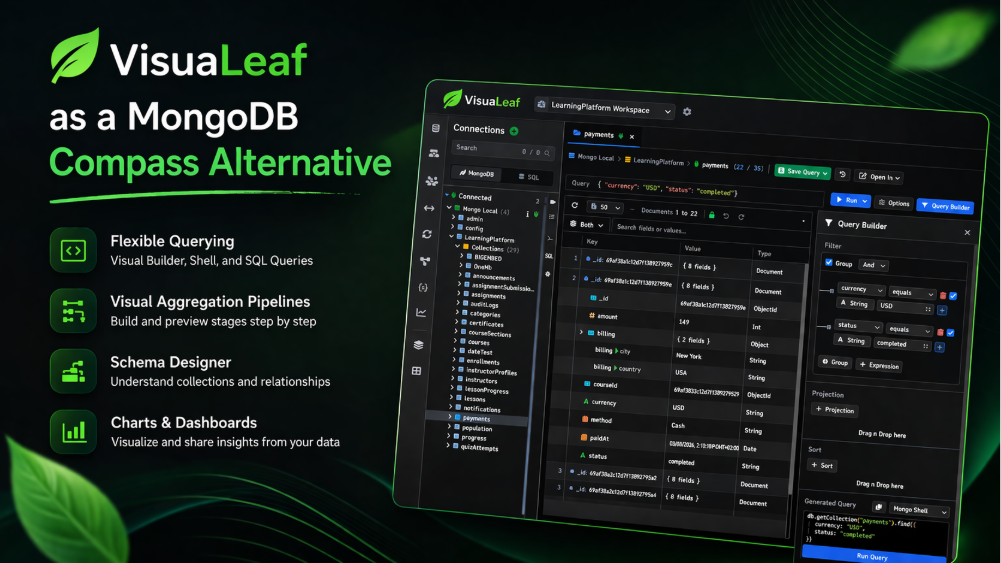 VisuaLeaf as a MongoDB Compass Alternative