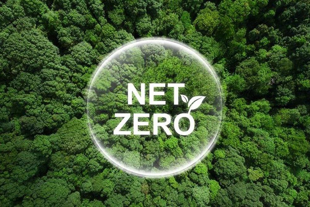 Aerial view of a dense green forest with a transparent circle overlay containing the text “NET ZERO” and a small leaf icon, symbolizing environmental targets for carbon neutrality.