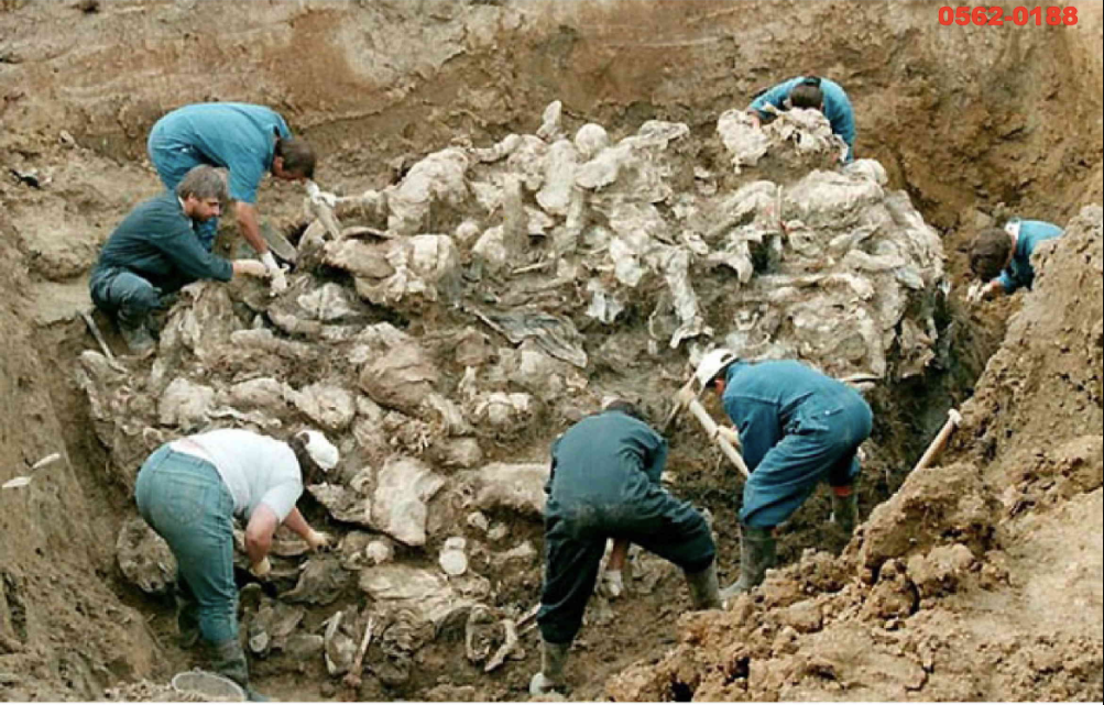 Exhumation at the Branjevo Military Farm. Exhibit P07755 in Prosecutor v. Ratko Mladić.