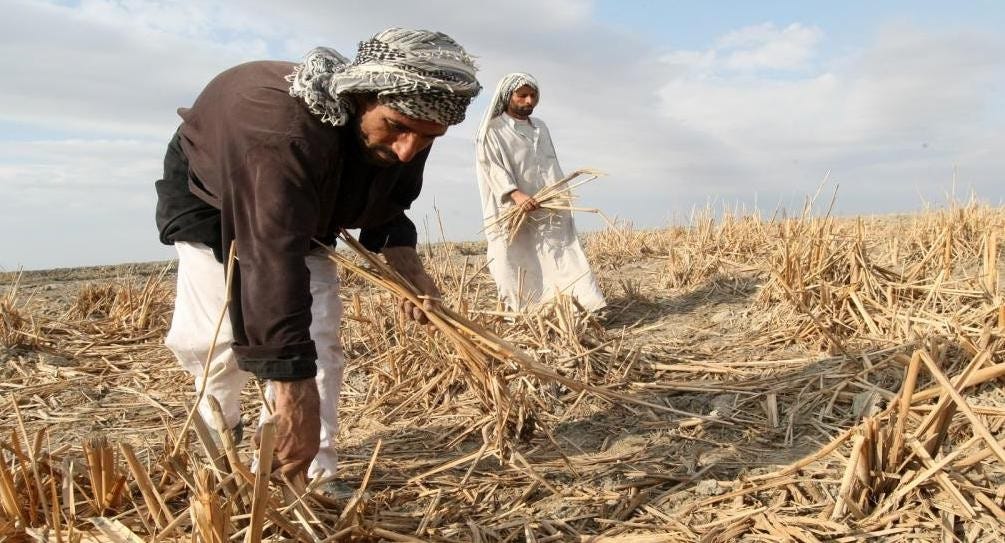 50% of agricultural land destroyed by desertification