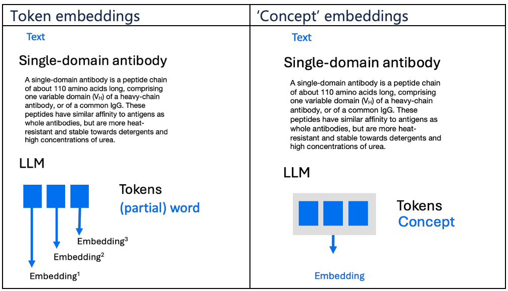 Token embeddings — ‘Concept’ embeddings