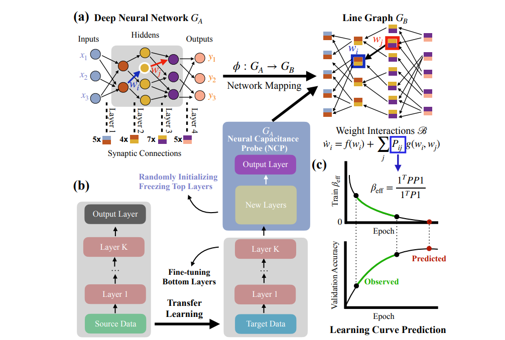 Predicting Downstream Model Performance at Early Training Stages: A New Perspective on Neural…