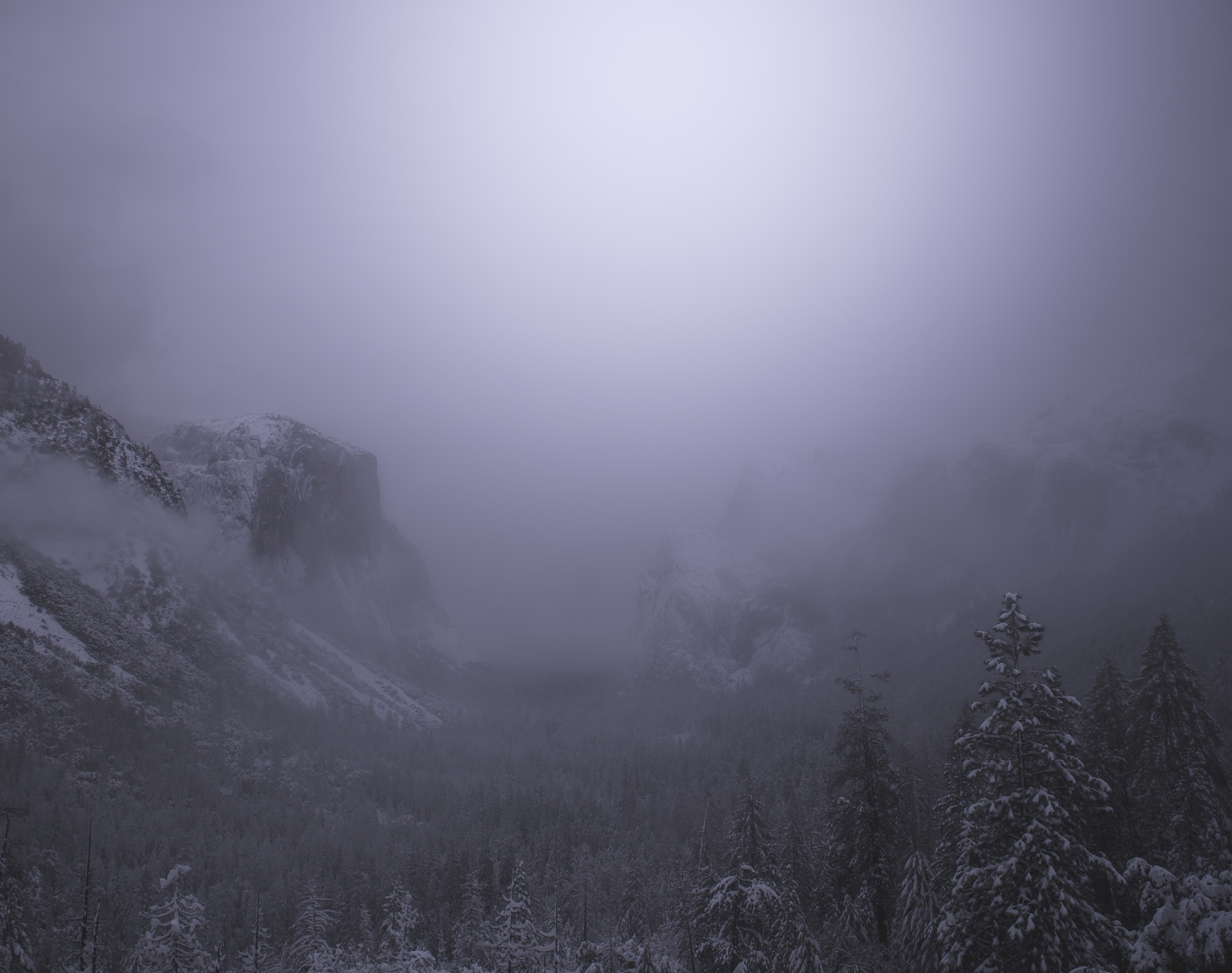 Photo by [Casey Horner](https://unsplash.com/@mischievous_penguins?utm_source=unsplash&utm_medium=referral&utm_content=creditCopyText) on [Unsplash](https://unsplash.com/s/photos/moody?utm_source=unsplash&utm_medium=referral&utm_content=creditCopyText)