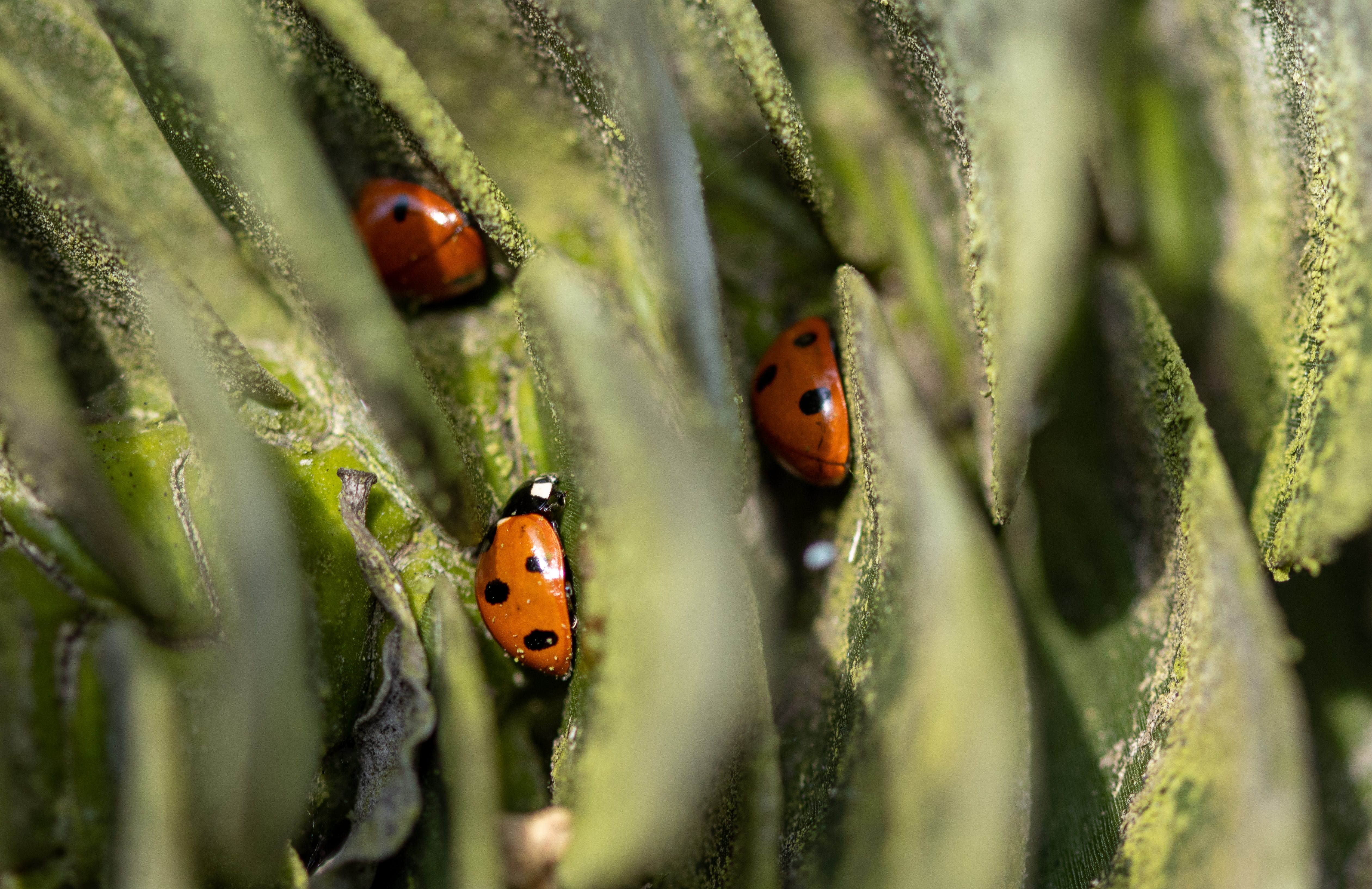 Photo by [Daniel Cooke](https://unsplash.com/@anglopic?utm_source=medium&utm_medium=referral) on [Unsplash](https://unsplash.com?utm_source=medium&utm_medium=referral)