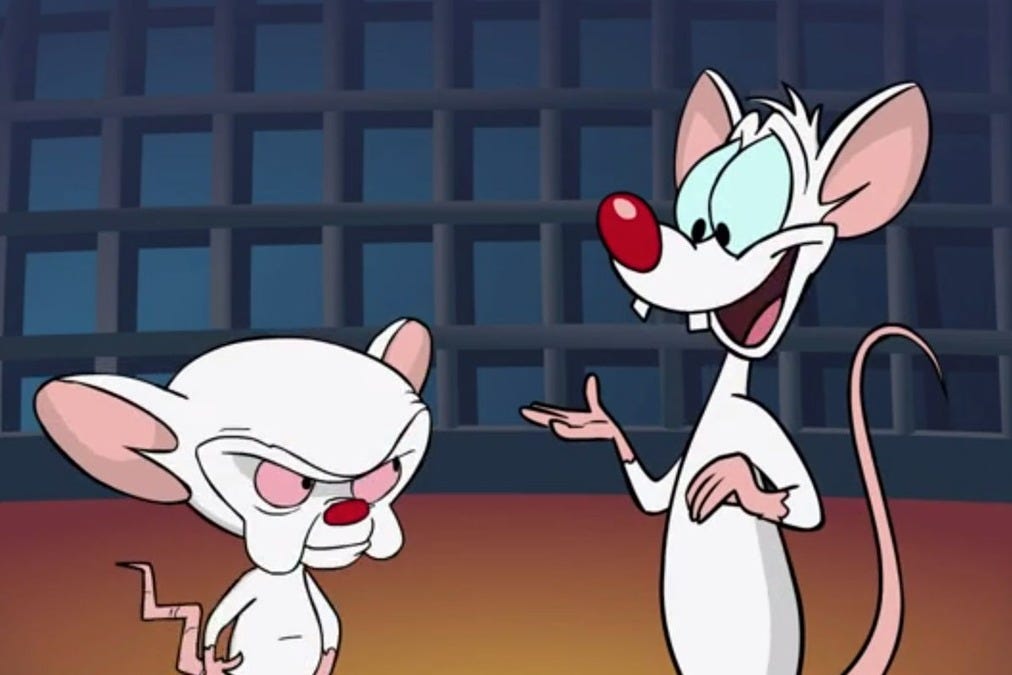 Pinky and the brain foto 64 Pinky and the brain foto 100