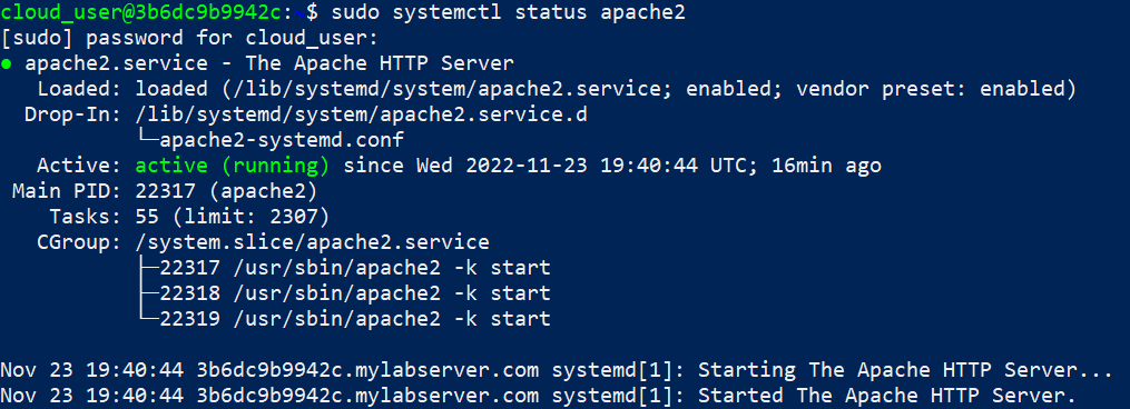 view of apache2 status