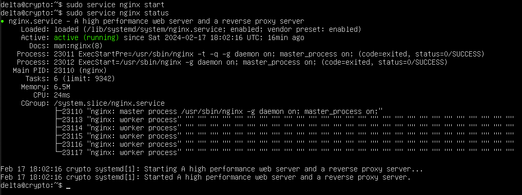 Run command sudo service nginx status