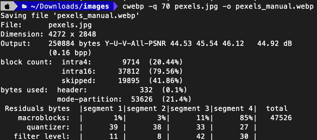 cwebp command output