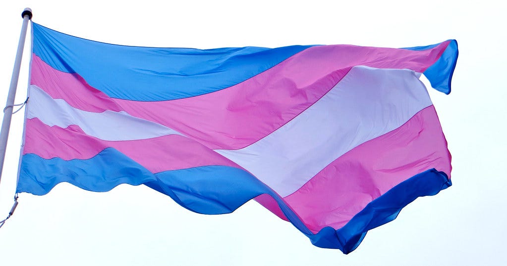 Transgender flag flies in the breeze. Image credit: flickr user torbakhopper https://flic.kr/p/kuLjrp