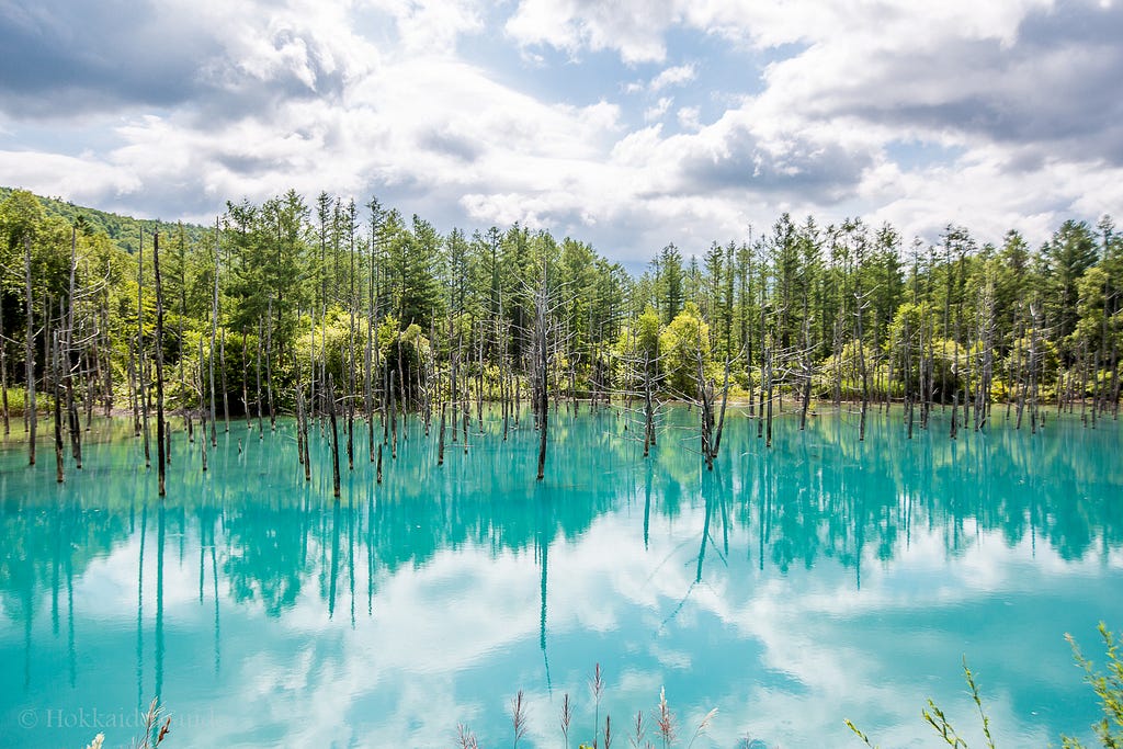 The Blue Pond