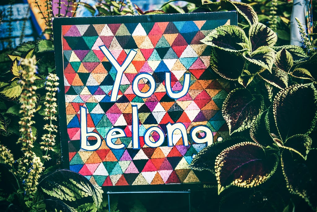 Photograph of a colourful patchwork design in a black frame, surrounded by green leaves. The design includes bold white text which reads ‘You belong’