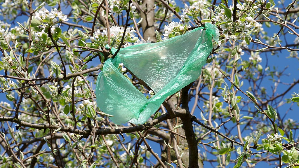 green plastic bag in a tree