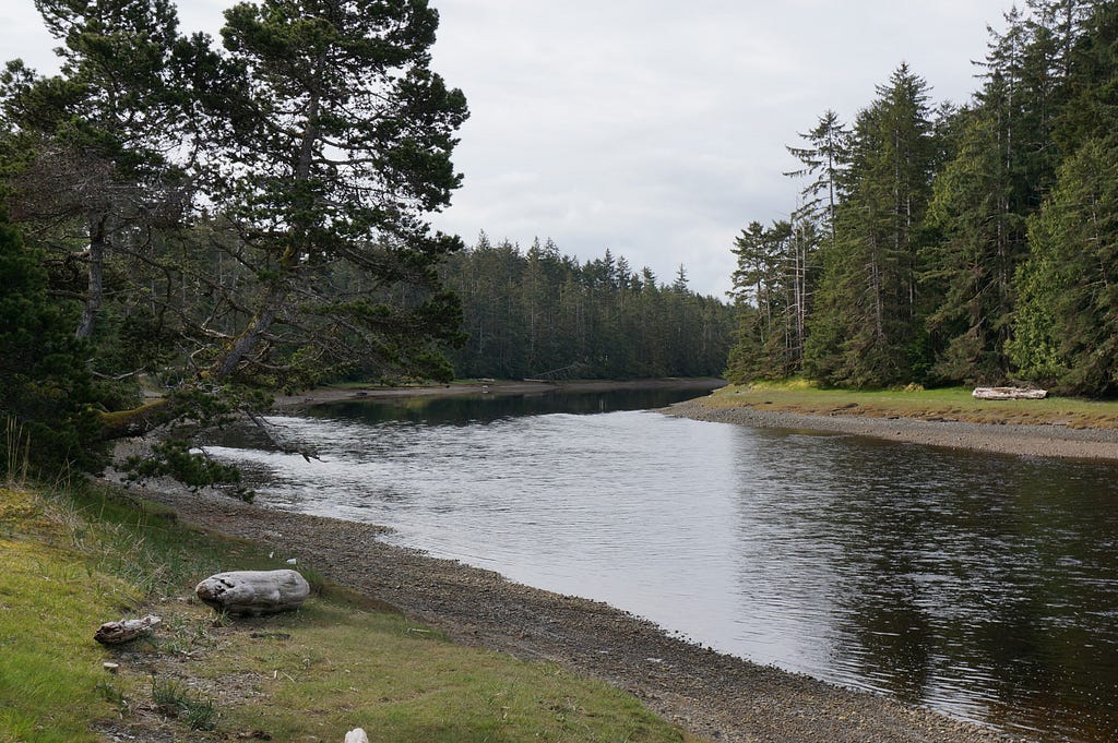 A photo of a bend in the Nenana river, with gravel banks on both sides framed in trees.