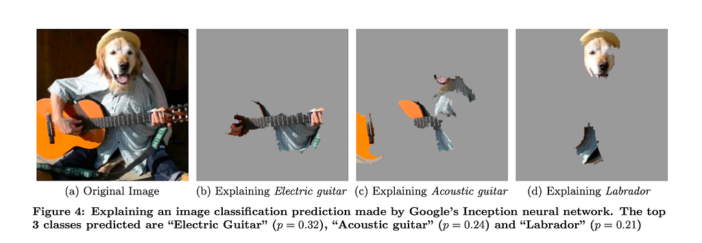 Figure: LIME, explaining image classifier outputs with easily understandable superpixels.