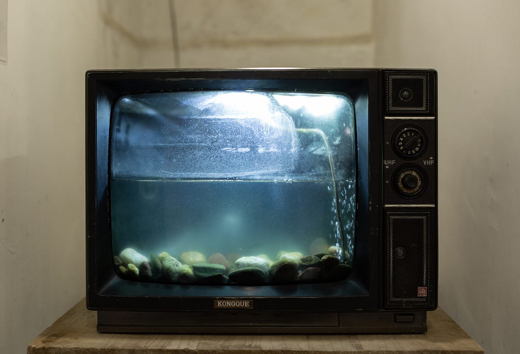 An empty TV filled with water and rocks