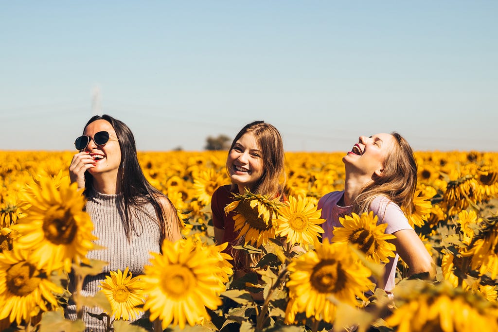 Three woman laughing in a field of sunflowers on a sunny day with a blue sky.