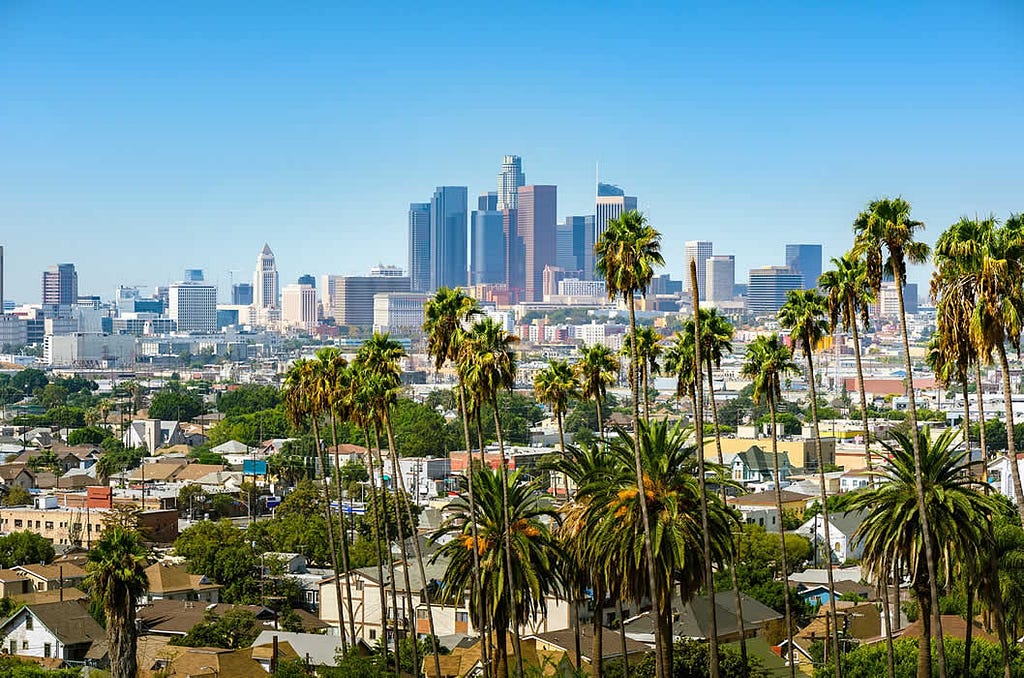 Продвижение сайта местной компании в Лос-Анжелесе