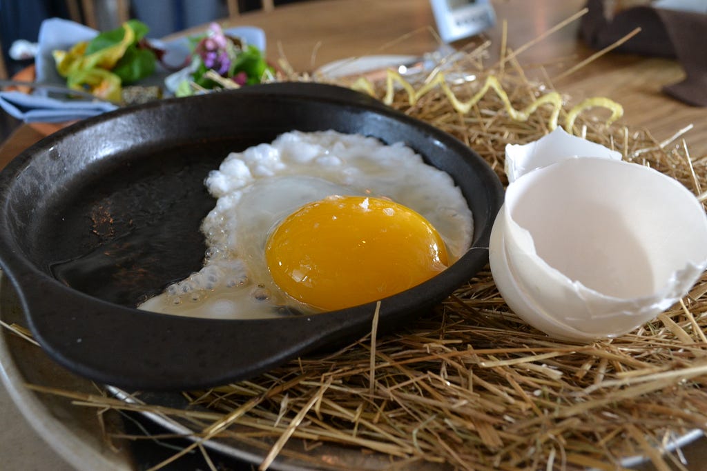 The wild duck egg