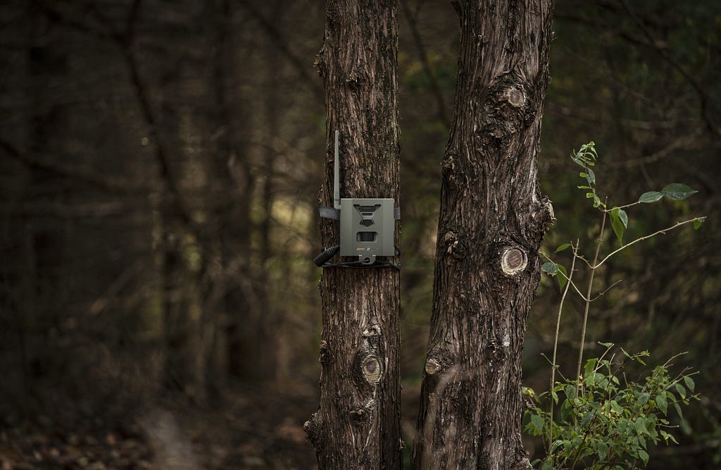 buy security box for trail camera