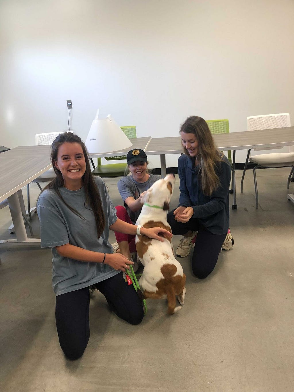 Three people pet a dog with pet supplies and furniture behind them