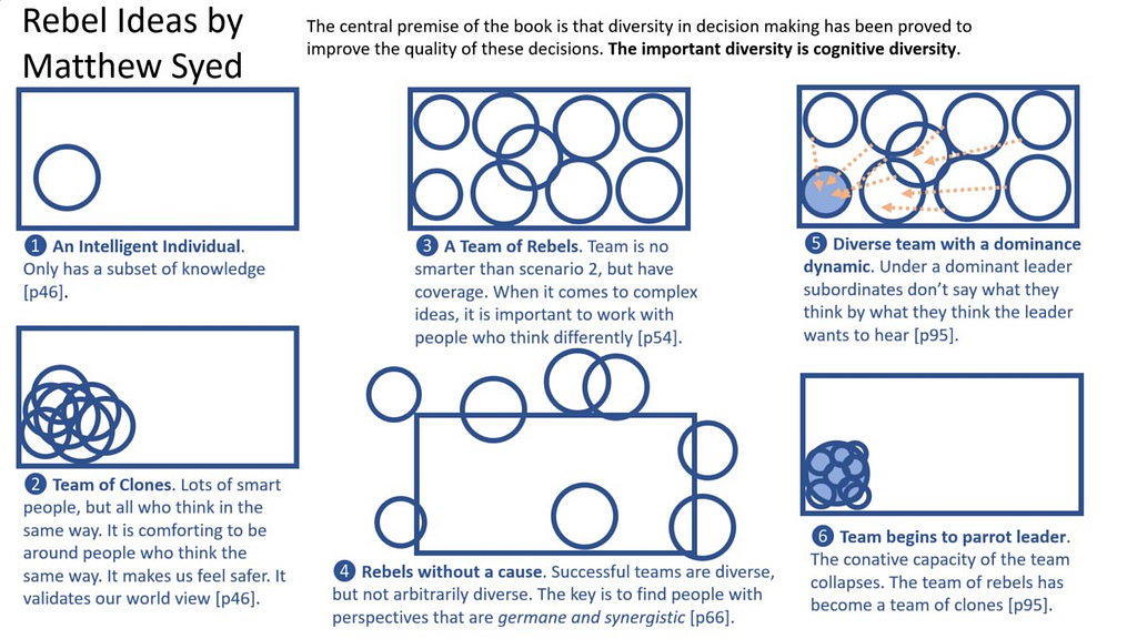 Diagram from the Book Rebel Ideas by Matthew Syed illustrating how cognitively diverse teams are able to understand more aspects of a problem