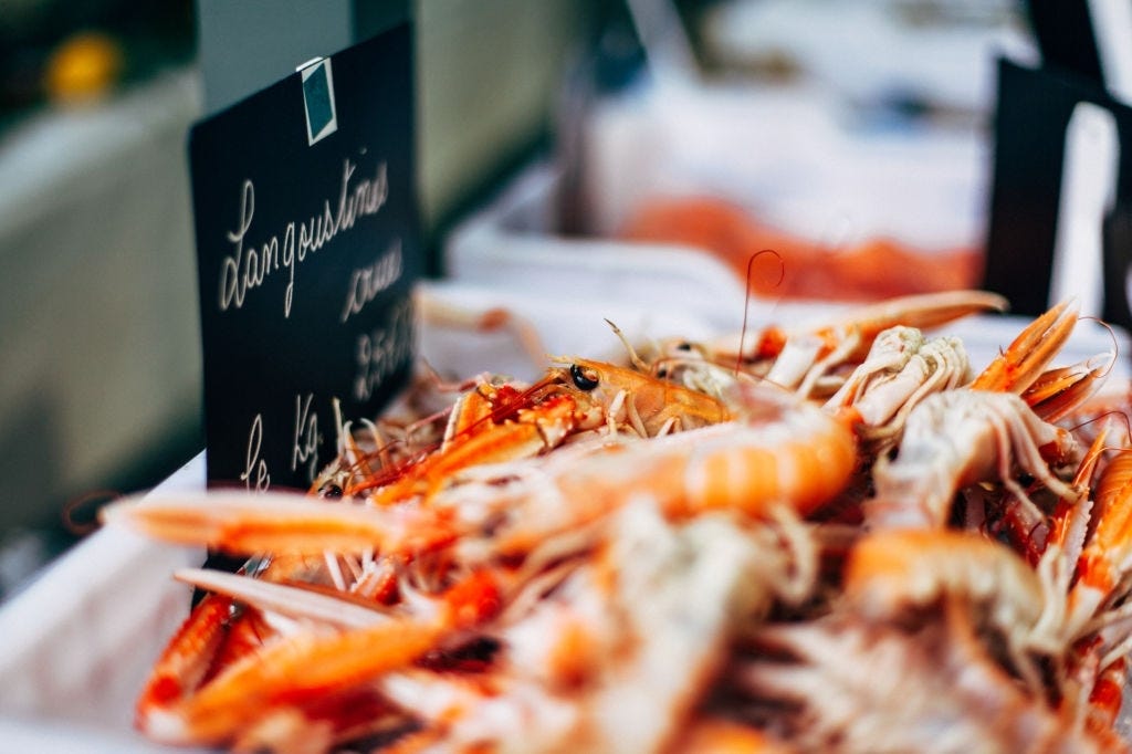 Amazing Things about Langoustine in 2021