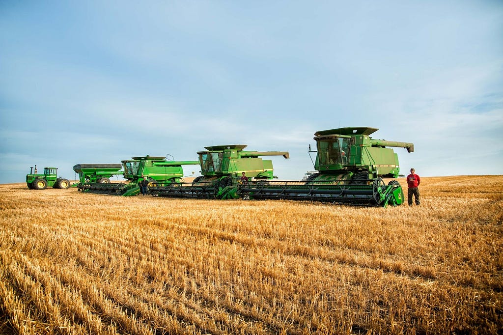 Several combine harvesters lined up in a row on a wheat field