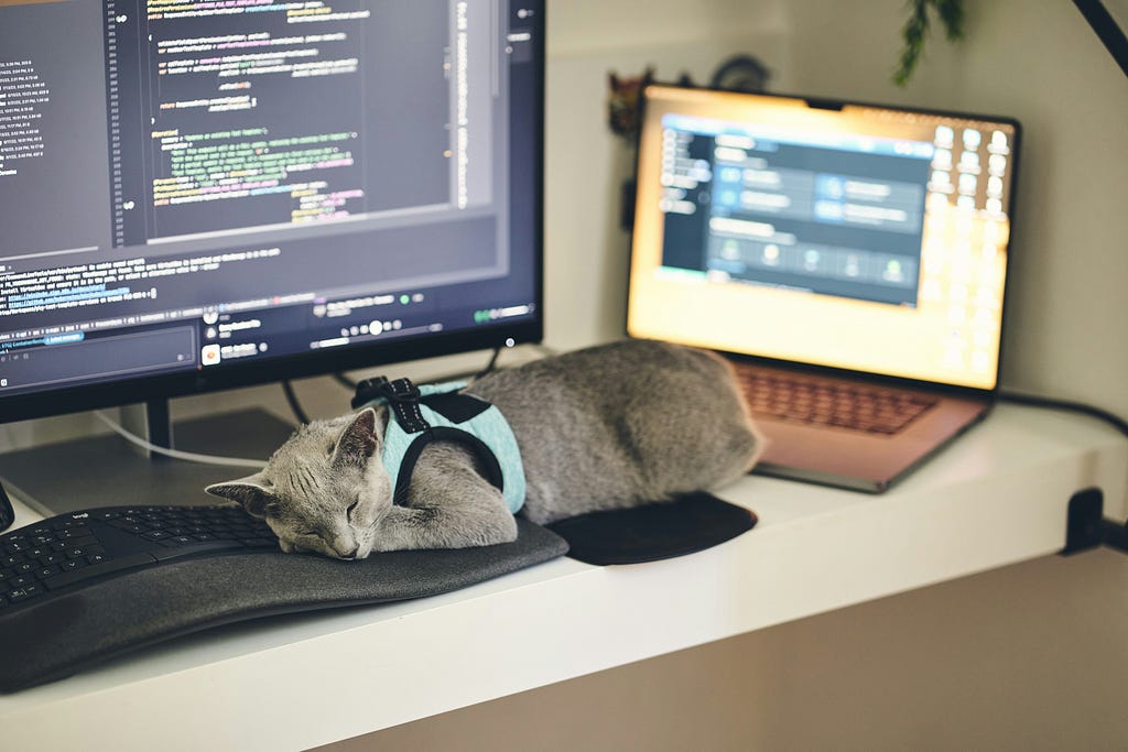 A cat sleeping on a keyboard on the desk