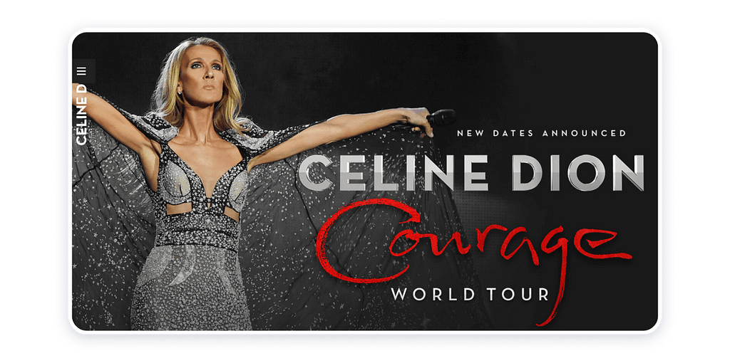 Celine Dion website example