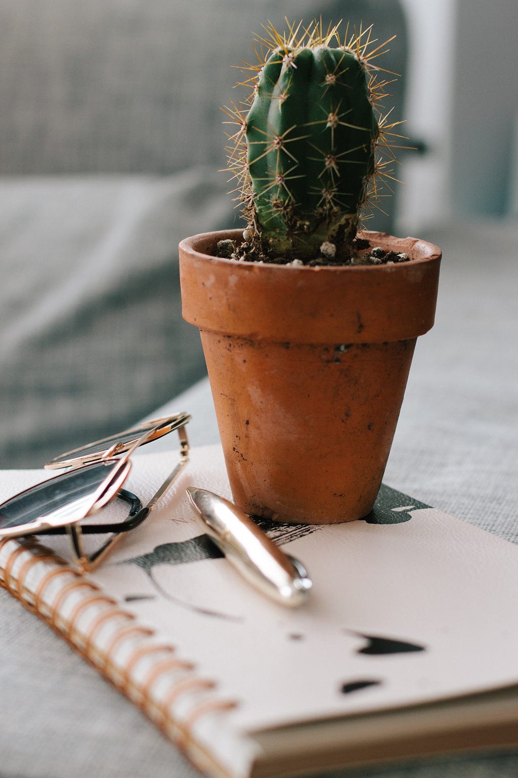 A cactus on a desk. It looks small but spikey, and will fight you.