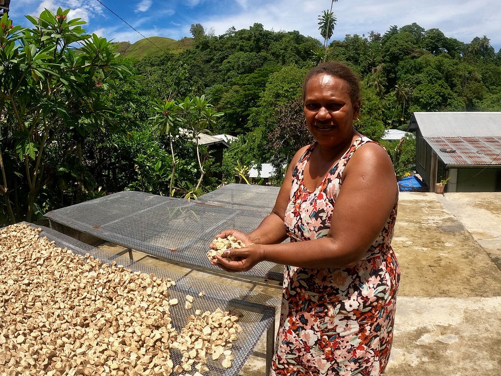 A woman featured holding pieces of kava root drying in the sun