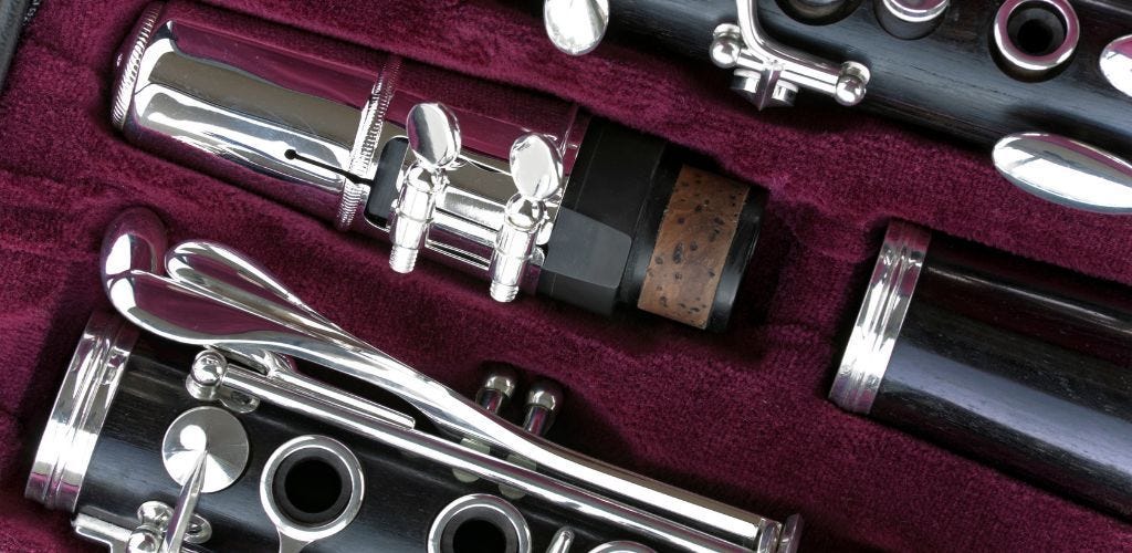 Clarinet Reed Case — Our Top Picks