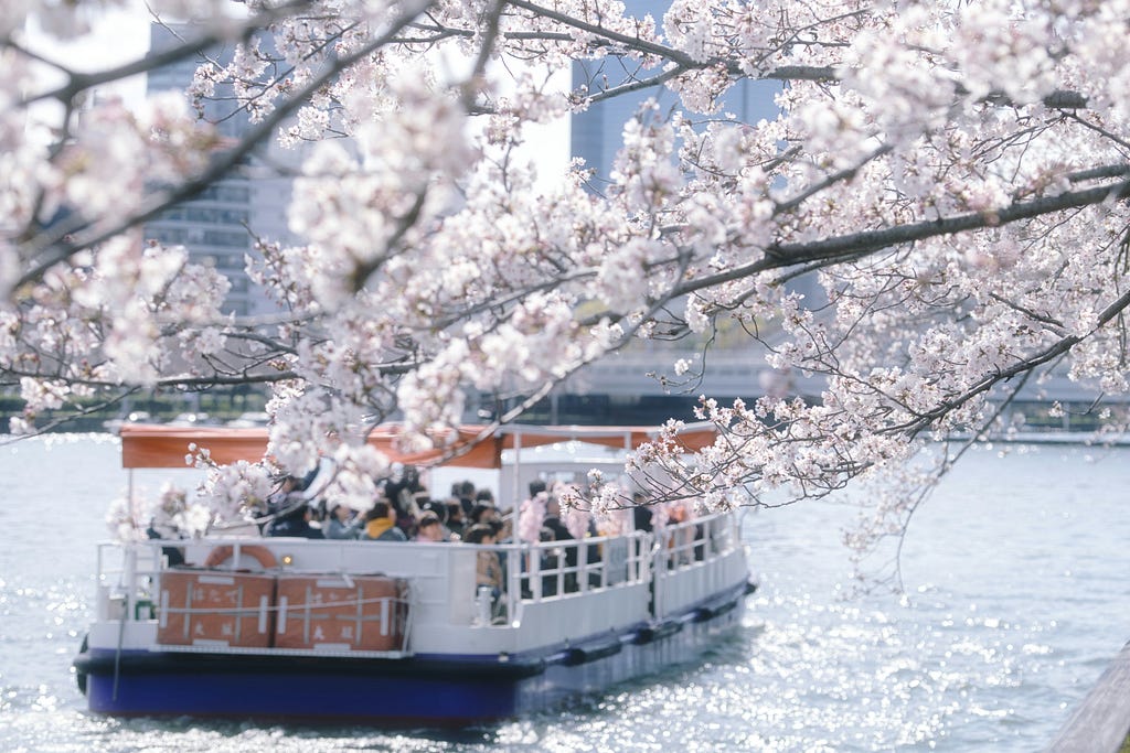 White boat on a river during daytime with passengers watching cherry blossoms