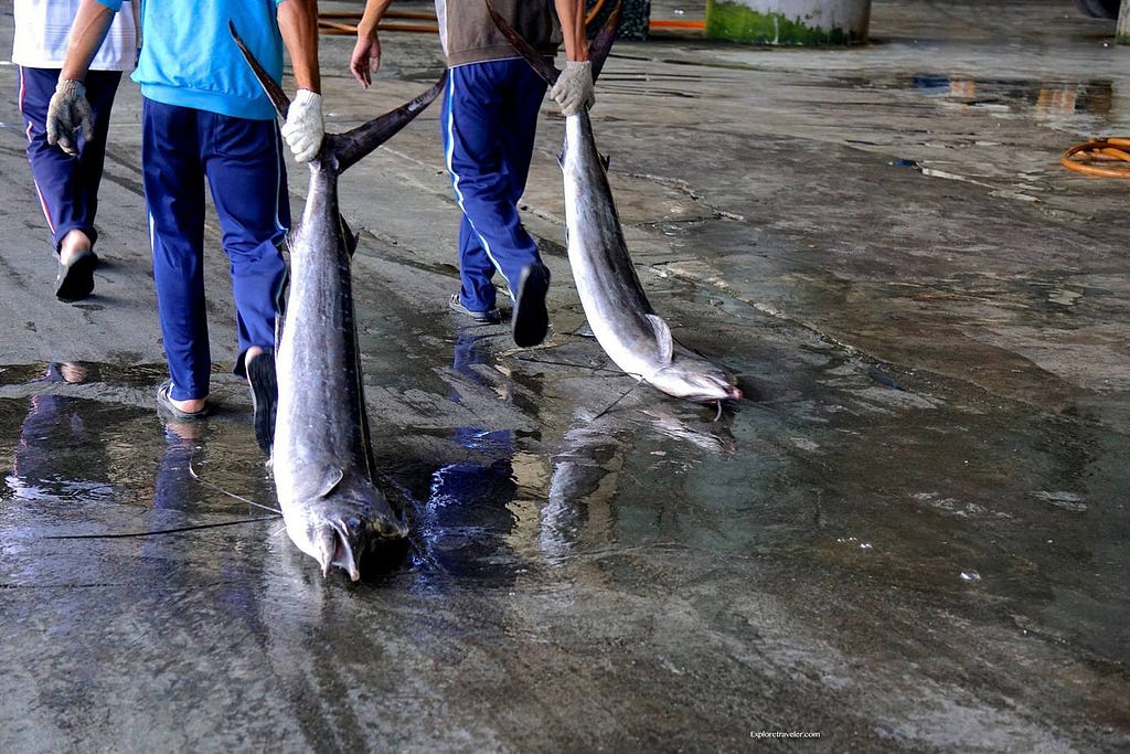 taiwan fish market