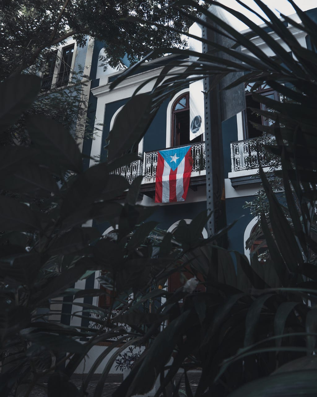 Dark, lush vegetation fills the bottom half of the image. In the background a Puerto Rican flag hangs from a second story balcony of a white building in San Juan.