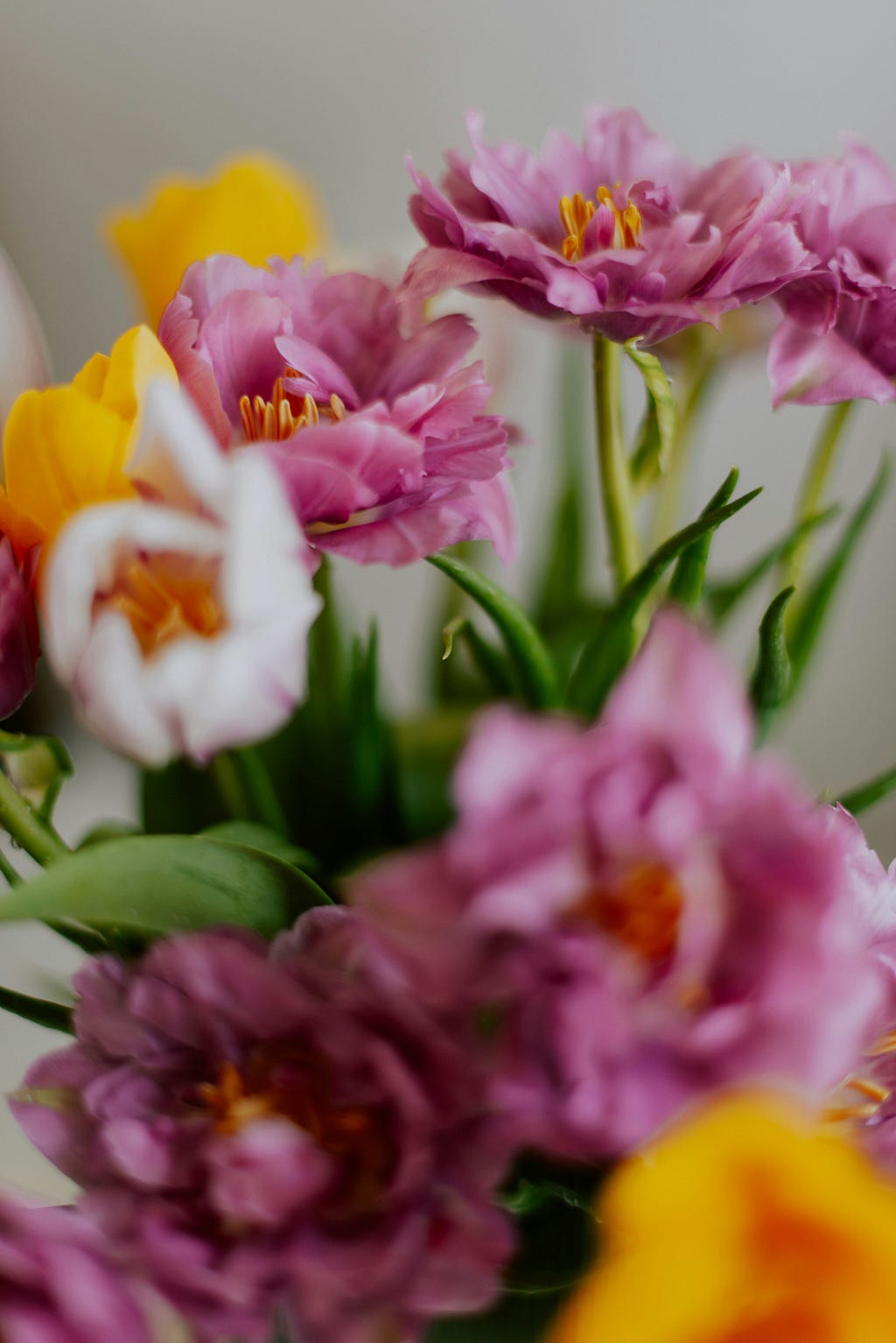 A close-up of a bouquet of pink, yellow, and white tulips with a shallow depth of field, highlighting the textures and colours