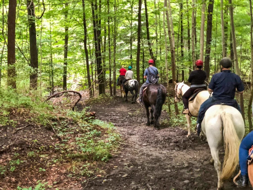 Painted Bar Stables trail ride in the forest (photo courtesy of Painted Bar)