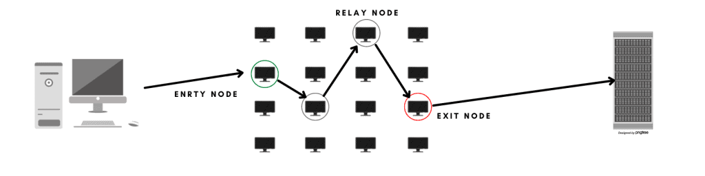 An image of the elements of the Tor network