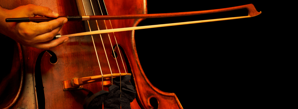 double bass closer view