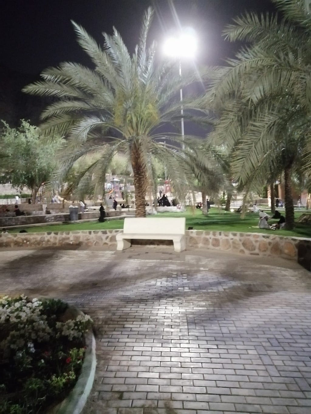 Prince Mohammed bin Abdul Aziz Park