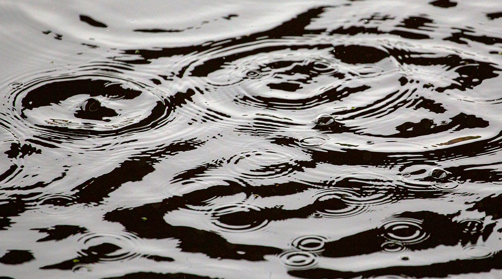 The surface of dark water covered with ripples from droplets of rain
