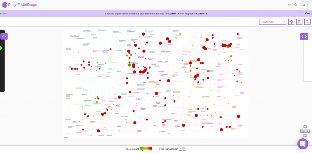 Polly Workflows — Metscape