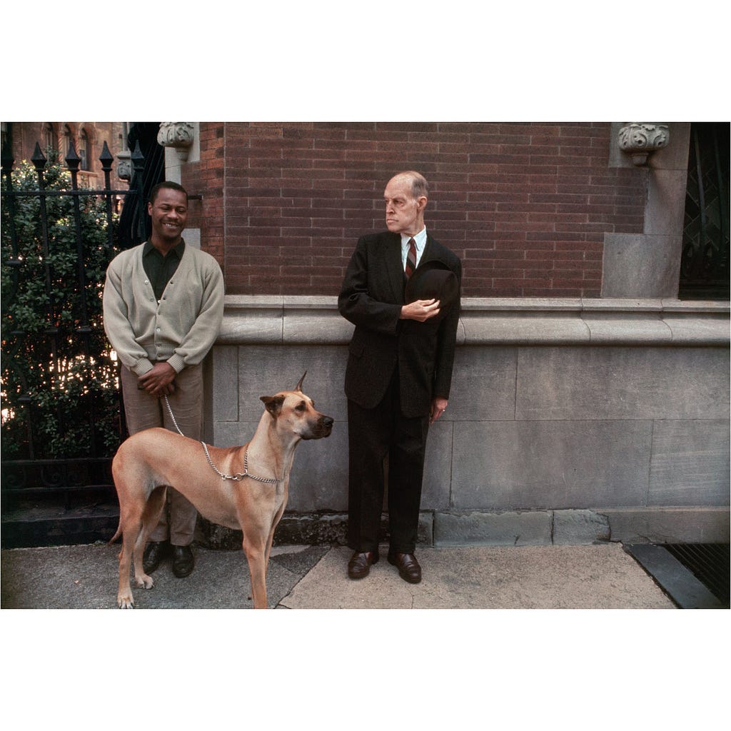 Joel Meyerowitz street phopgraphy