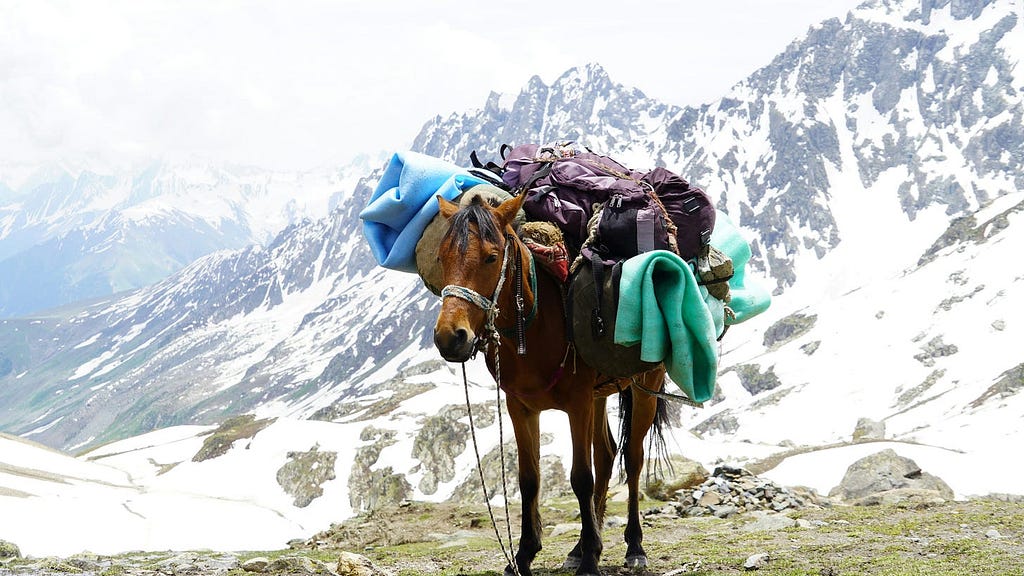 A mule loaded up with bags and bundles, ready for a trek into the mountains. Snowy, rocky peaks loom in the middle distance.