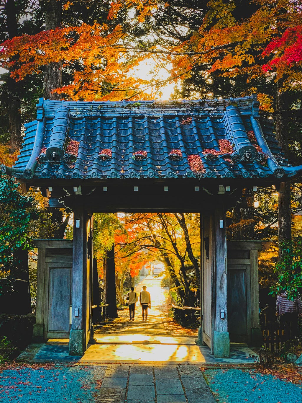 The photograph’s focal point is a lychgate, a charmingly tiled roof over a high wooden gate. The Japanese maples overhead and down the road glow  golden and orange. Two people, in the middle distance, are walking away, side by side in the sunlight.