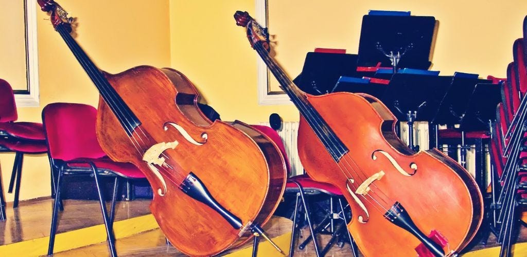 two double bass